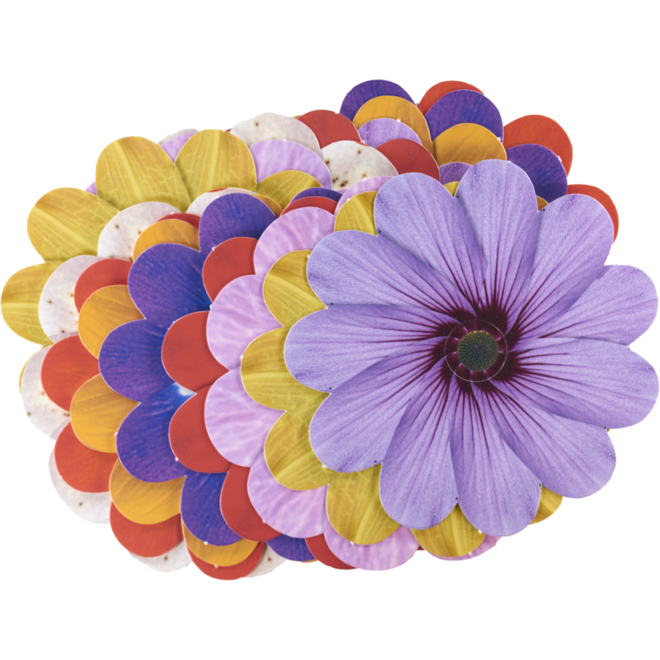 Vlechtbloemen met borduurnaald 11,5 cm, 16 stuks