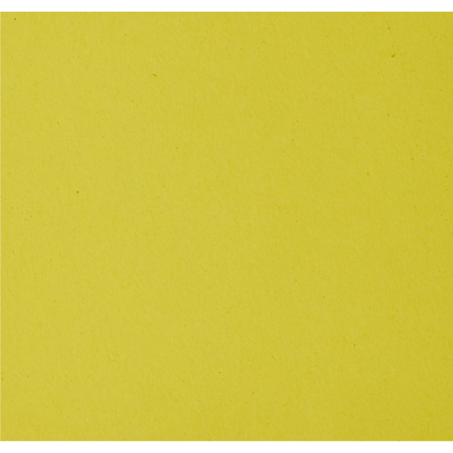 Vlechtstroken 50 x 2 cm 120 grs 12-kleuren 480 stroken