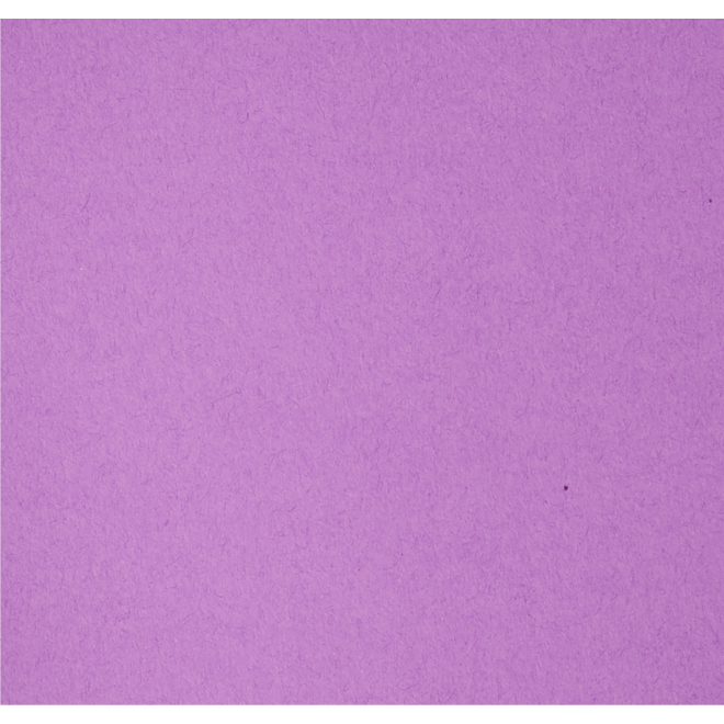 Vlechtstroken 50 x 2 cm 120 grs 12-kleuren 480 stroken