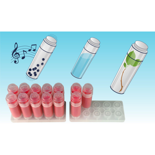 Navulling Plakstift Clear sticks extra sterk 40 gram, 50 stuks