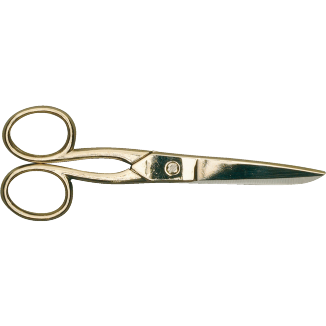 Schaar 13 cm rvs met punt