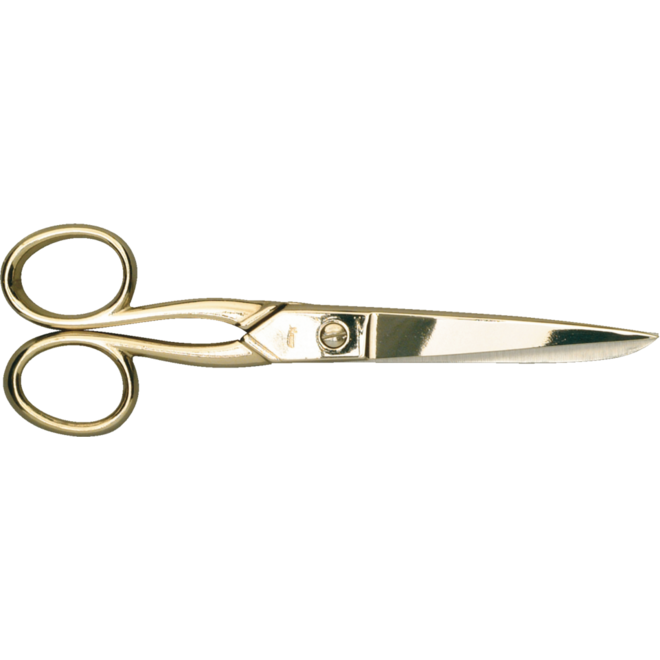 Schaar 15,5 cm rvs