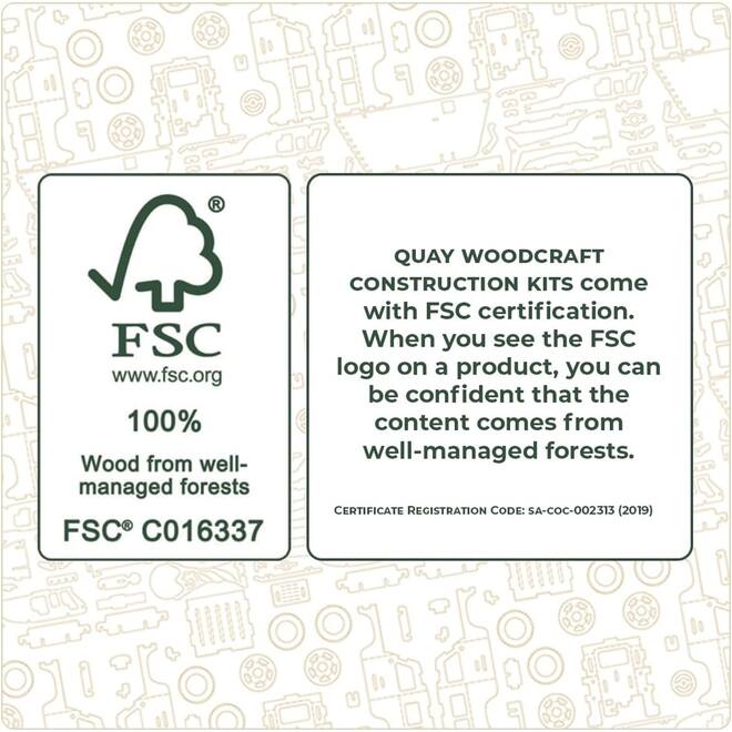 Bouwpakket hout FSC Dino