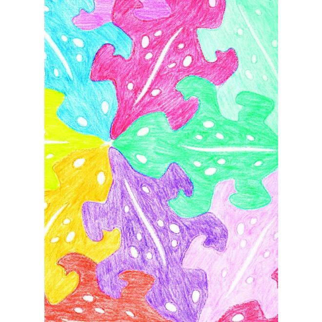 Dieren puzzel sjablonen 12 x 18 cm, 12 stuks