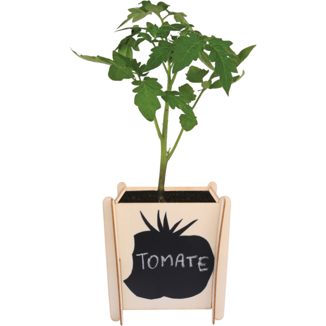 Plantenpotje hout 10 x 10 x 12 cm, 4 st
