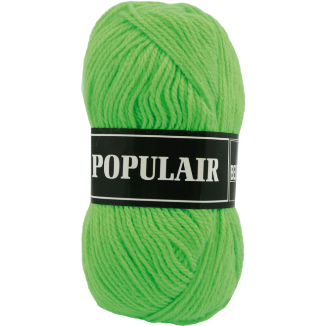 Breigaren populair acryl felgroen 50 gram, 120 meter