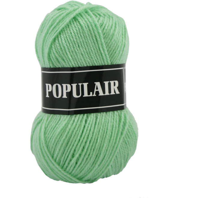 Breigaren populair acryl mint 50 gram, 120 meter