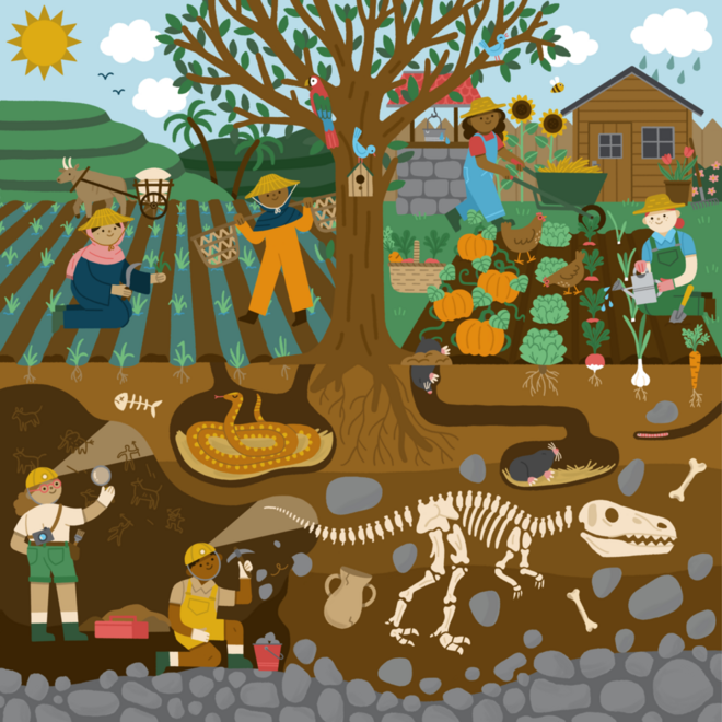 Rolf Puzzels - Puzzel boven en onder de grond - voedsel verbouwen