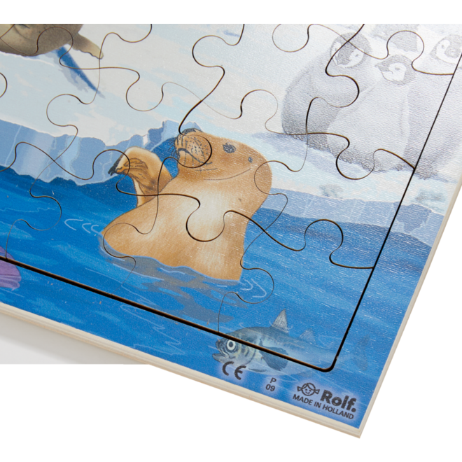 Rolf Connect - Puzzel Poolgebieden, 81 stukjes
