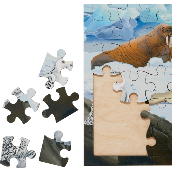 Rolf Connect - Puzzel Poolgebieden, 81 stukjes
