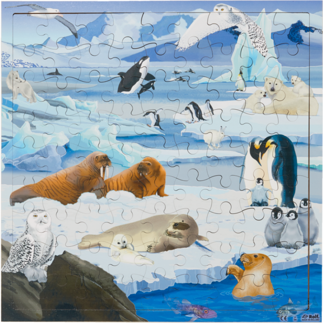 Rolf Connect - Puzzel Poolgebieden, 81 stukjes