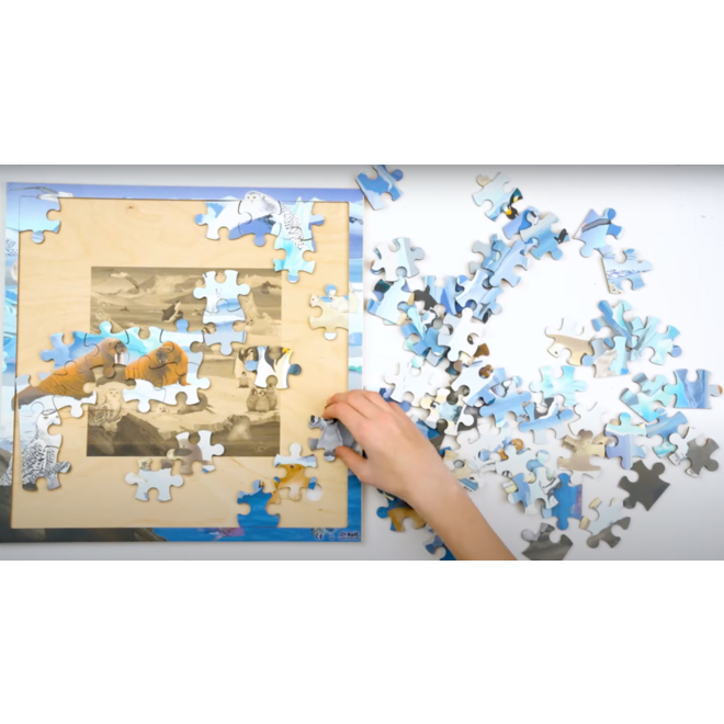 Rolf Connect - Puzzel Poolgebieden, 81 stukjes