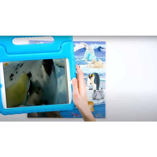 Rolf Connect - Puzzel Poolgebieden, 81 stukjes
