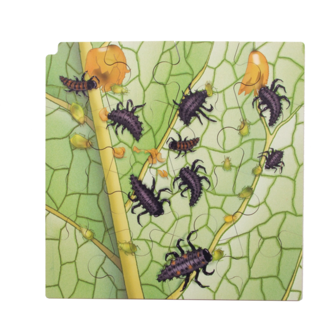 Rolf Connect - Groeipuzzel lieveheersbeestje 28x28 cm 4-lagen 86 stukjes