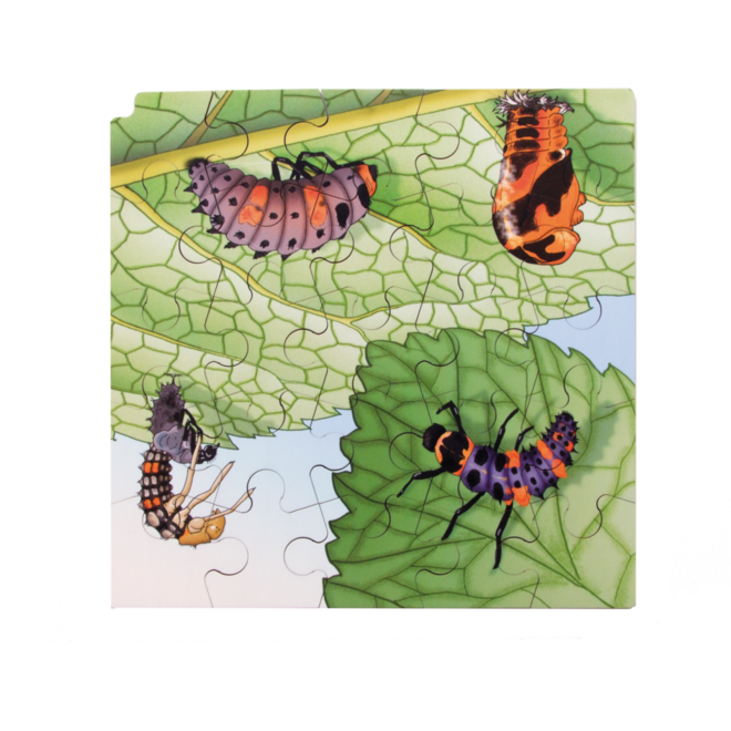 Rolf Connect - Groeipuzzel lieveheersbeestje 28x28 cm 4-lagen 86 stukjes