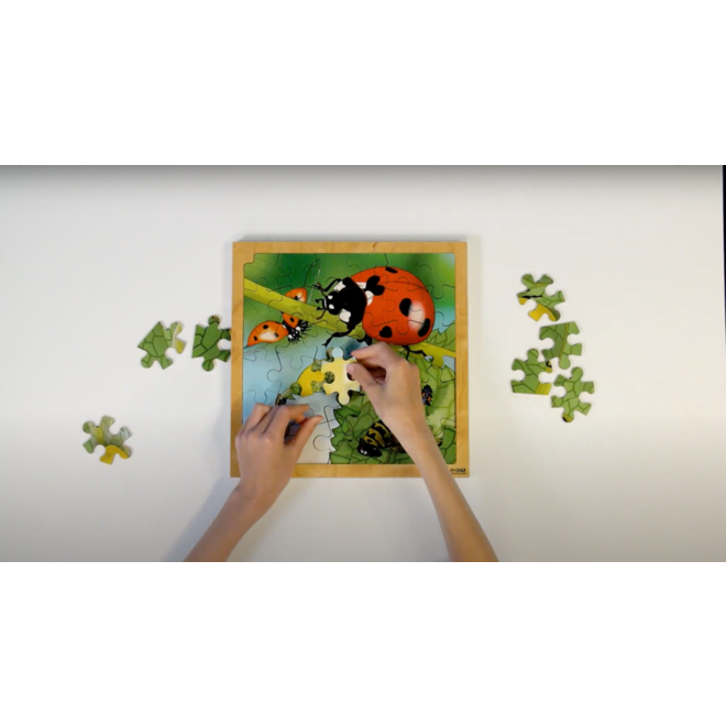 Rolf Connect - Groeipuzzel lieveheersbeestje 28x28 cm 4-lagen 86 stukjes