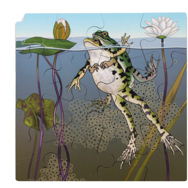 Rolf Connect - Groeipuzzel kikker 28 x 28 cm 4 lagen 86 stukjes
