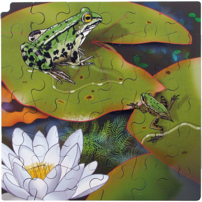 Rolf Connect - Groeipuzzel kikker 28 x 28 cm 4 lagen 86 stukjes