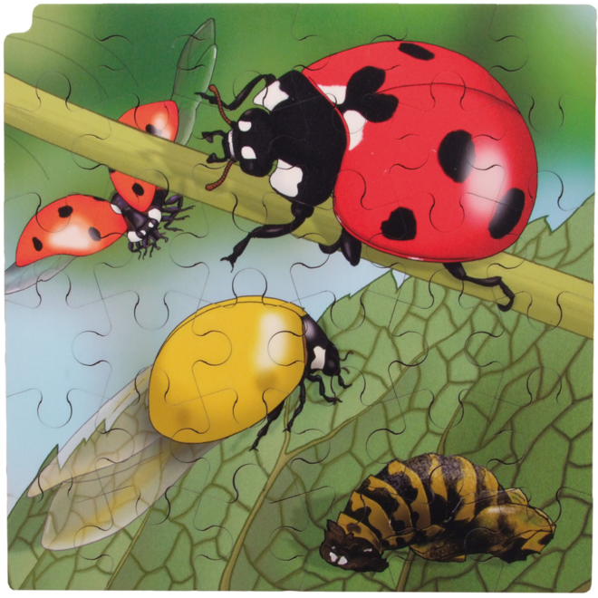 Rolf Puzzelset - Levenscylus, set van 4