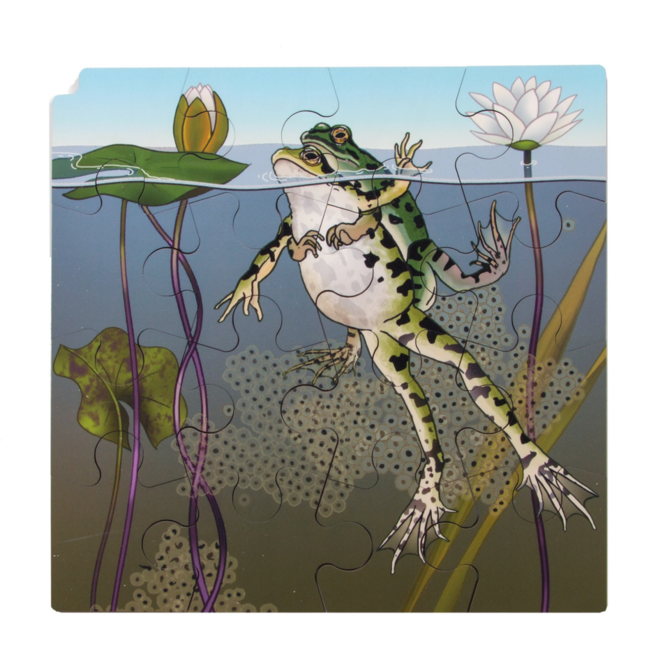 Rolf Puzzelset - Levenscylus, set van 4
