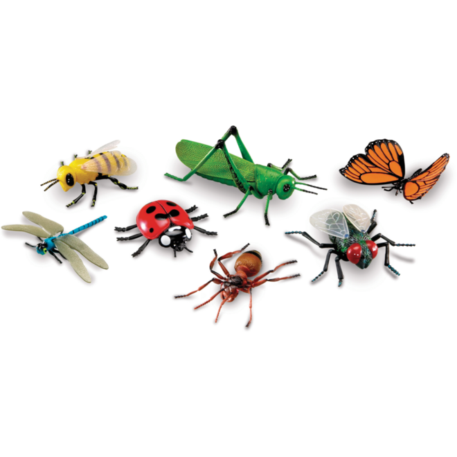Jumbo insecten