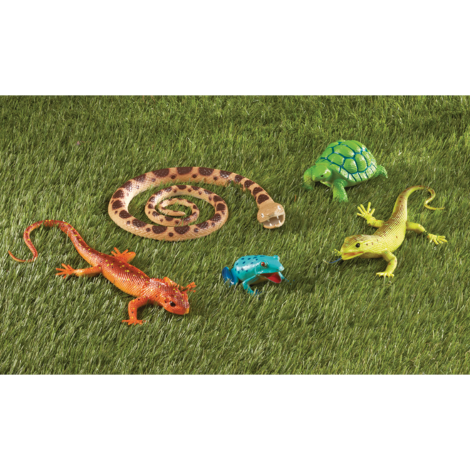 Jumbo Reptielen, Amfibieën