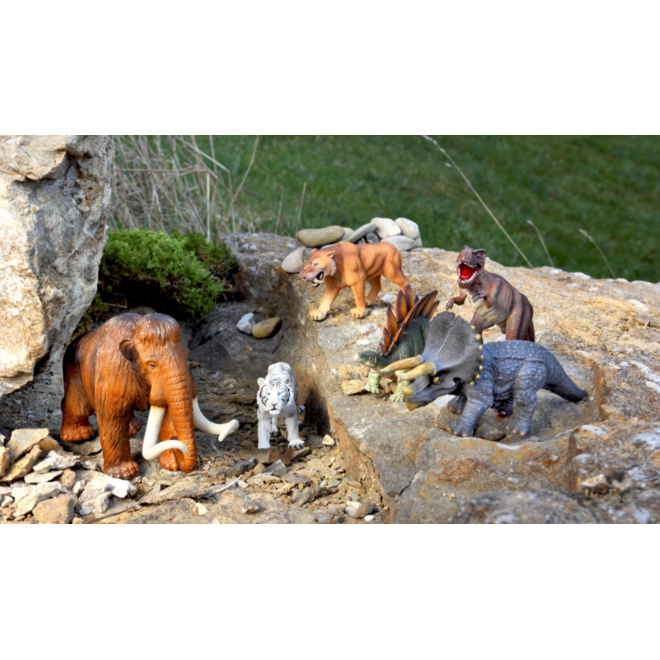 Dierenset, 26 delig
