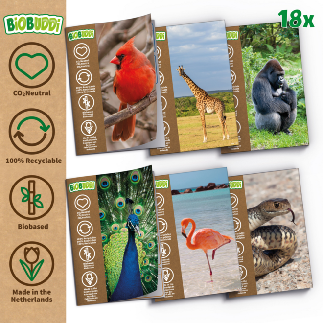 BiOBUDDi Education Big set dieren