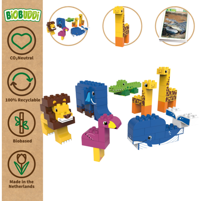 BiOBUDDi Education Big wilde dieren