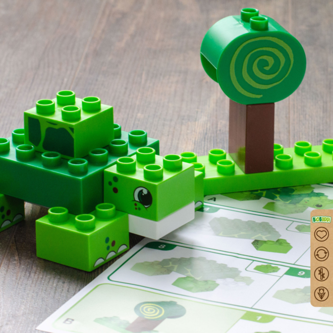 BiOBUDDi Education Big wilde dieren