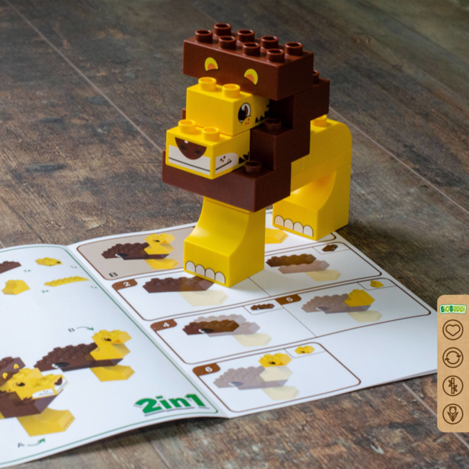 BiOBUDDi Education Big wilde dieren