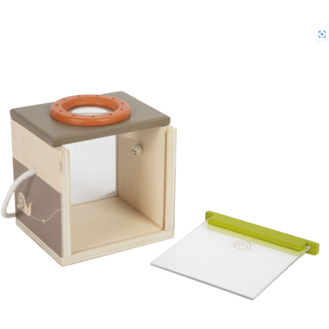 Houten Insectendoos Discover