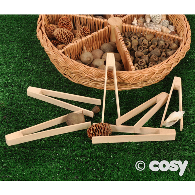 Pincetten van hout (6 stuks)