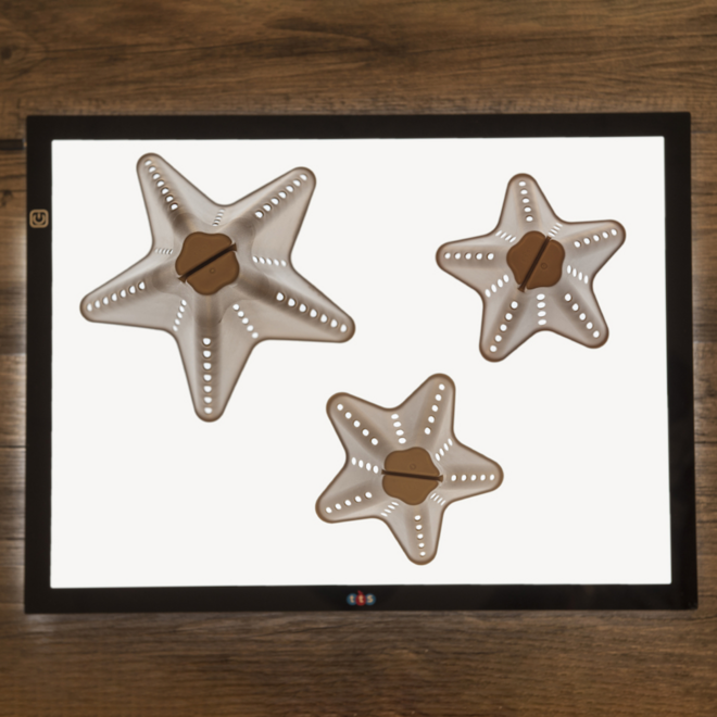 Stapelkegels Eco 20 stuks