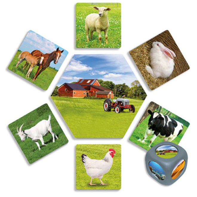 Waar leven dieren?