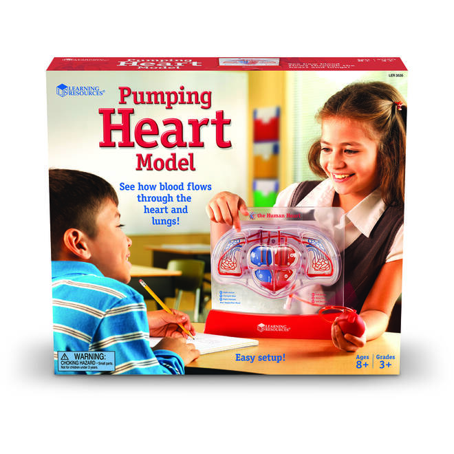 Pompend hart model