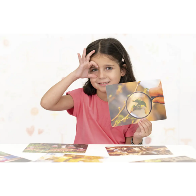 Fotobeelden - De buitenklas