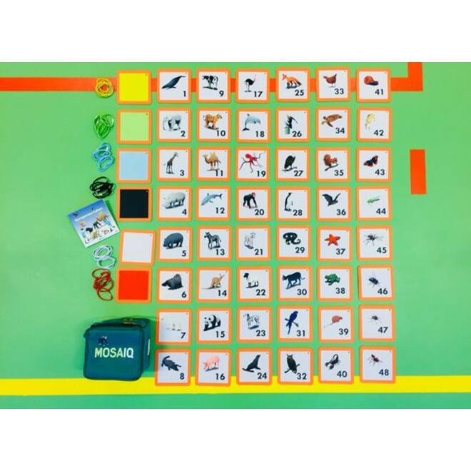 MosaIQ