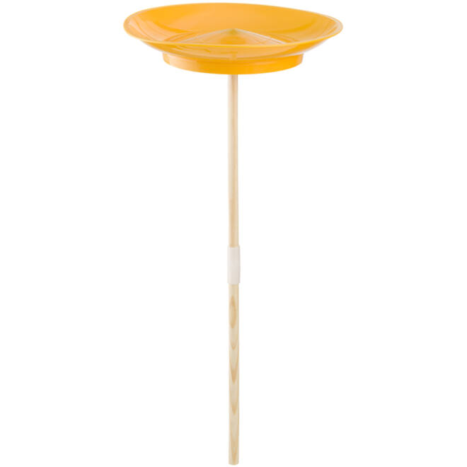BS | Circus Bord