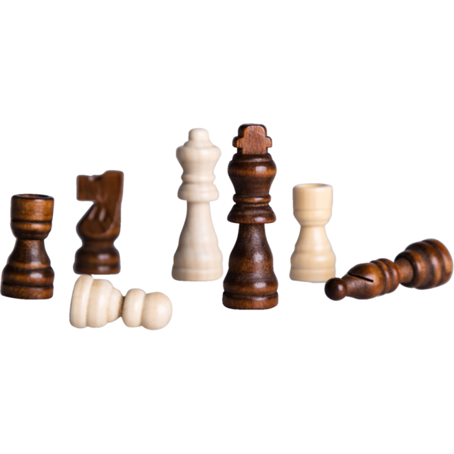 Schaakstenen