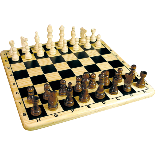 Schaakspel compleet 30 x 30 cm
