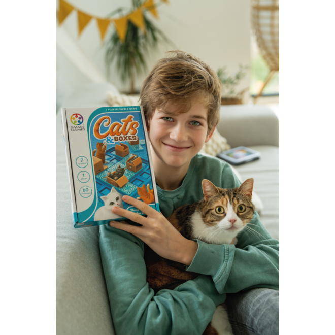 Cat & boxes