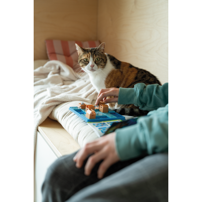 Cat & boxes
