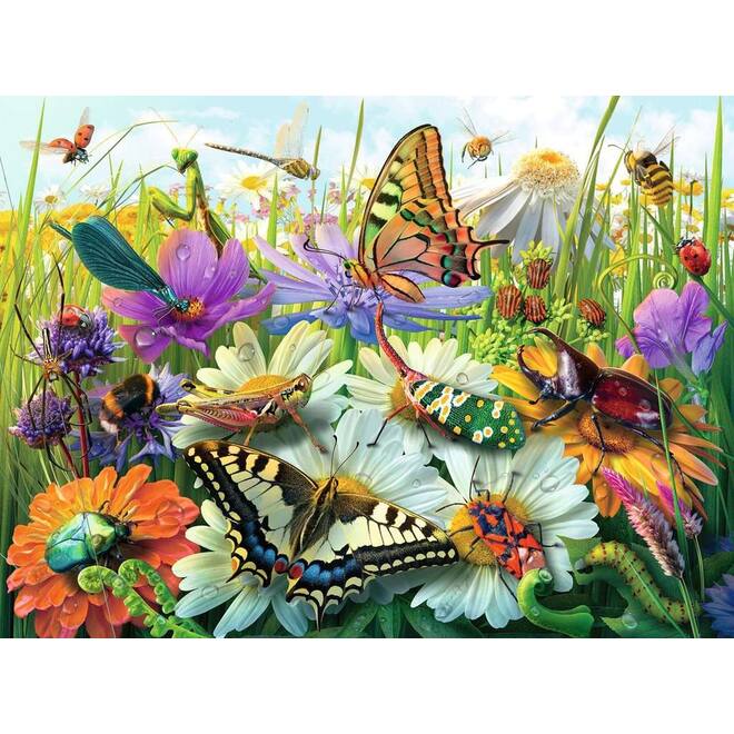 Wonderful World of Insects, 100 XXL