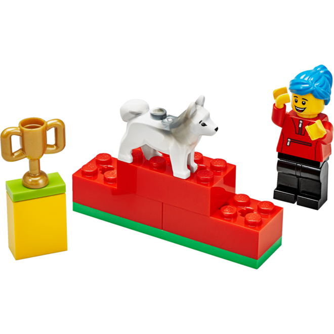 LEGO® Education 45401 BricQ Motion Essential Set