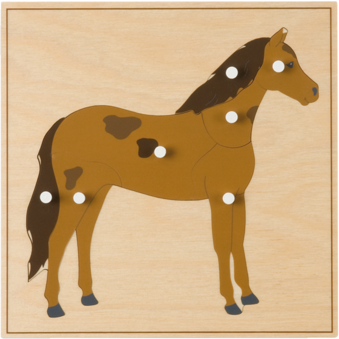 Dierenpuzzel paard