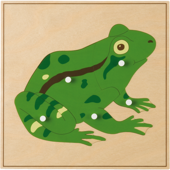 Dierenpuzzel kikker