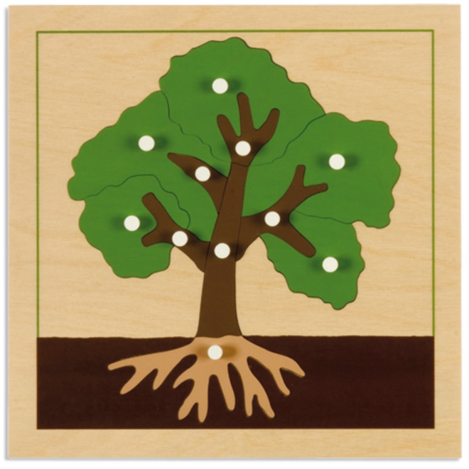 Botanische puzzel boom