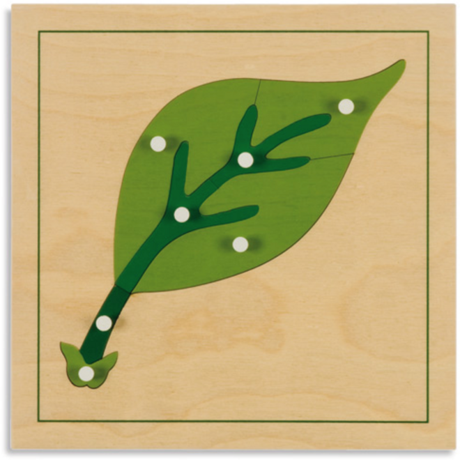Botanische puzzel blad