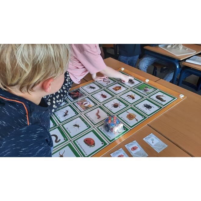Transparante mat voor Bee-Bot – Blue-Bot en Cubetto